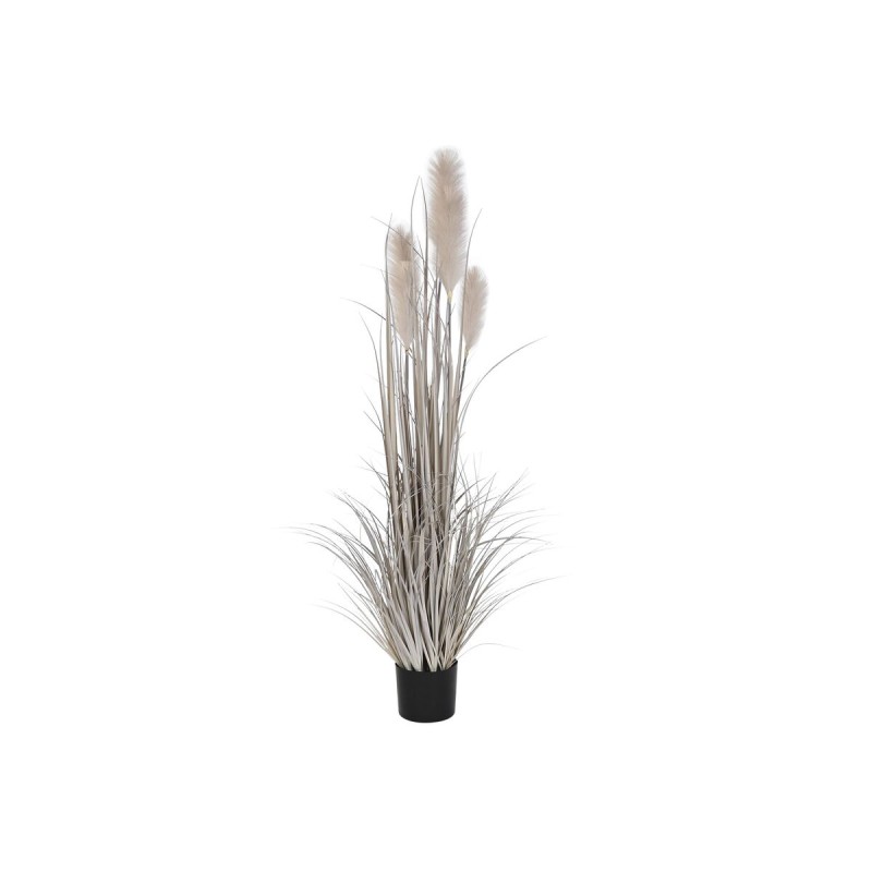 Plante décorative DKD Home Decor Plumeau (45 x 45 x 150 cm)