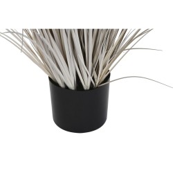 Plante décorative DKD Home Decor Plumeau (45 x 45 x 150 cm)