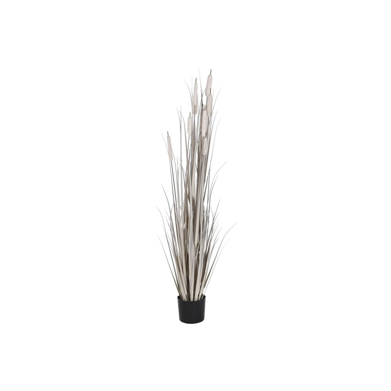 Plante décorative DKD Home Decor Joncs (45 x 45 x 150 cm)