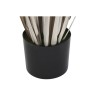 Plante décorative DKD Home Decor Joncs (45 x 45 x 150 cm)