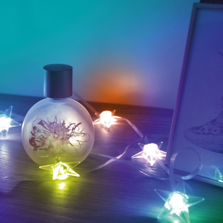 Carte postale microlorge