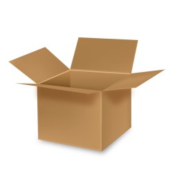 Caisse Carton (49,5 x 30,5...