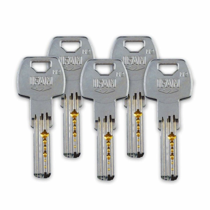 Carte postale microlorge