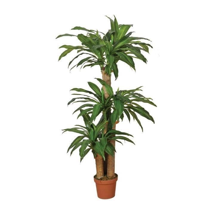 CATRAL - Plante artificielle dracena 145cm