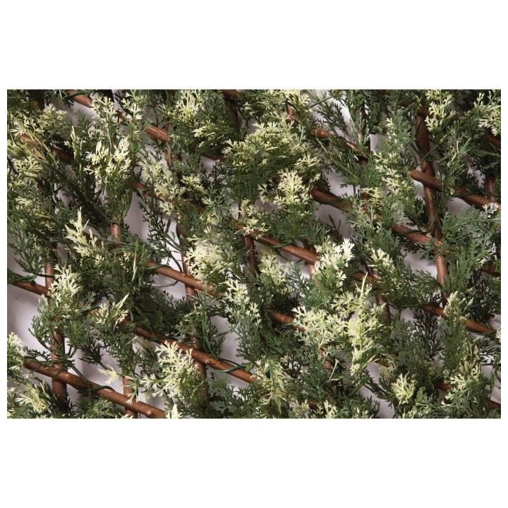 CATRAL - Treillis extensible cipres - 1x1.5m