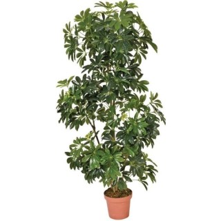 CATRAL - Plante artificielle schefflera 145cm
