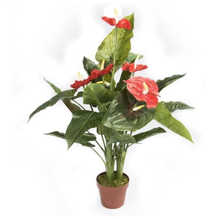 CATRAL - Plante artificielle anturio