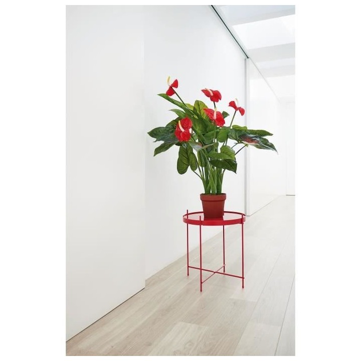 CATRAL - Plante artificielle anturio