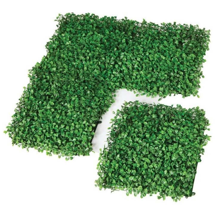 CATRAL - Lot 4 carreaux pour jardin vertical buis - 25 cm x 25 cm