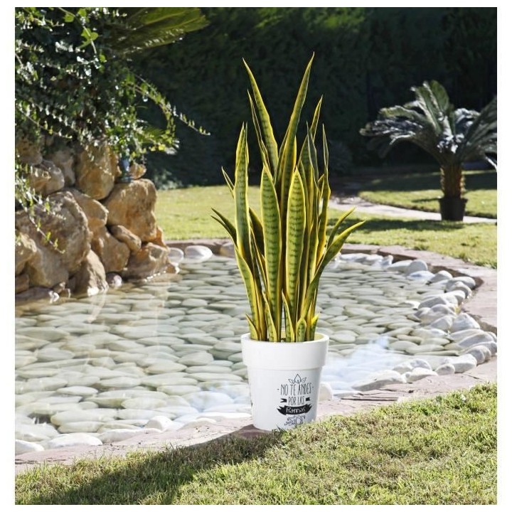 CATRAL - Plante artificielle lengua tigre bc 105cm