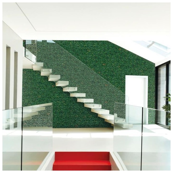 CATRAL - Haie artificielle liptus - 50x50cm