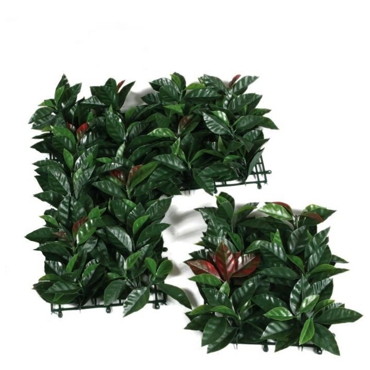 CATRAL - Haie artificielle liptus - 50x50cm