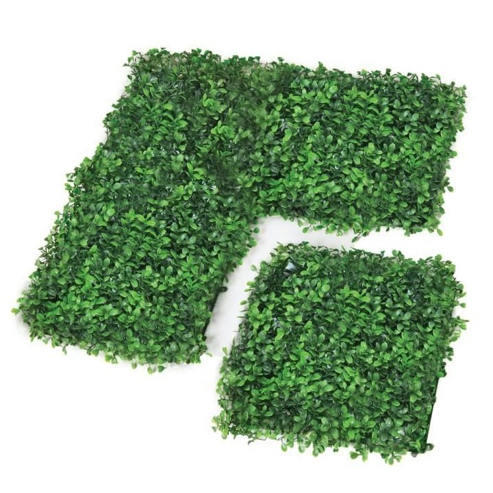 CATRAL - Lot 4 carreaux pour jardin vertical buis longifolia - 25 x 25