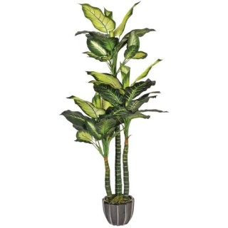 CATRAL - Plante artificielle pata de elefante 150cm