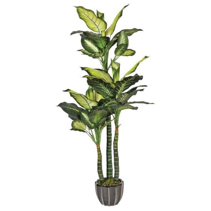 CATRAL - Plante artificielle pata de elefante 150cm
