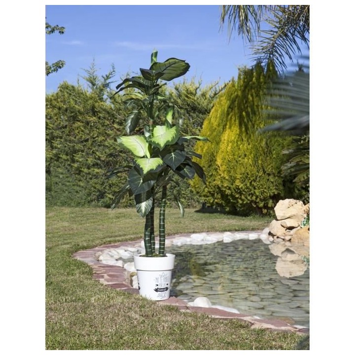 CATRAL - Plante artificielle pata de elefante 150cm