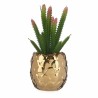 Plante décorative Céramique Doré Cactus Vert Plastique 6 Unités