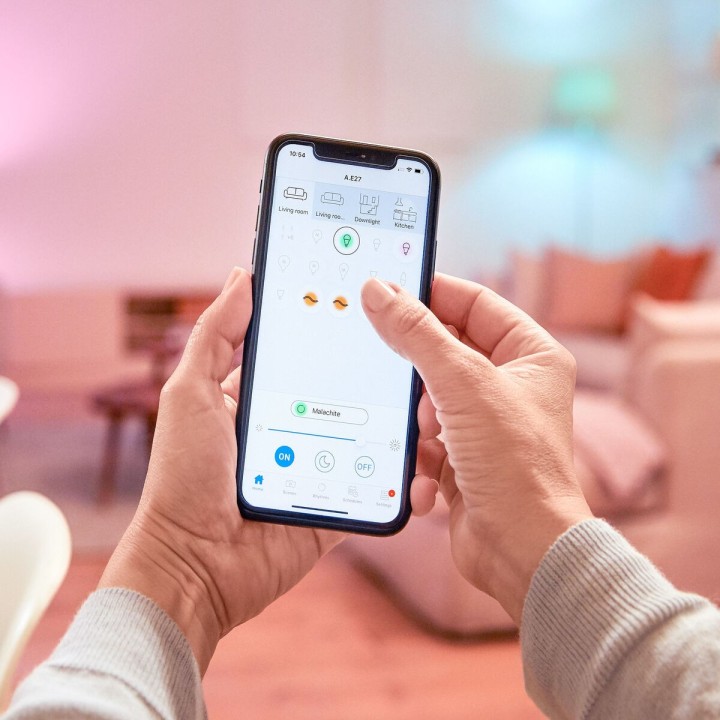 Carte postale microlorge