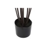 Plante décorative DKD Home Decor 75 x 75 x 180 cm Dracaena Marron Vert polypropylène