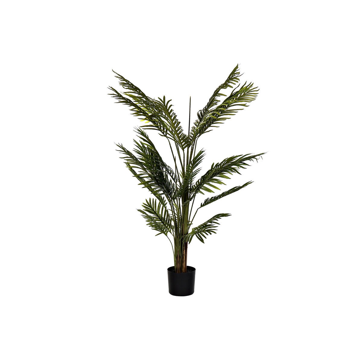 /320612/plante-decorative-dkd-home-decor-89-x-89-x-135-cm-ciment-polyethylene-vert-polypropylene-tropical-palmier.jpg /320612/plante-decorative-dkd-home-decor-89-x-89-x-135-cm-ciment-polyethylene-vert-polypropylene-tropical-palmier.jpg