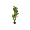 Plante décorative DKD Home Decor Polyéthylène Vert 40 x 40 x 120 cm Urbaine