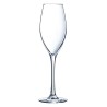 Coupe de champagne Éclat Wine Emotions Transparent verre 240 ml (6 Unités) (Pack 6x)