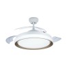 Plafonnier Philips Plafón Blanc Doré 2700k 4500 Lm