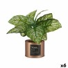 Plante décorative Home Cuivre Cannette (26 x 26 x 26 cm) (6 Unités)