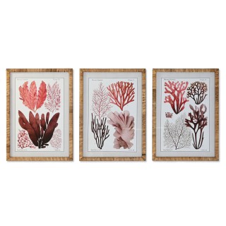 Carte postale microlorge