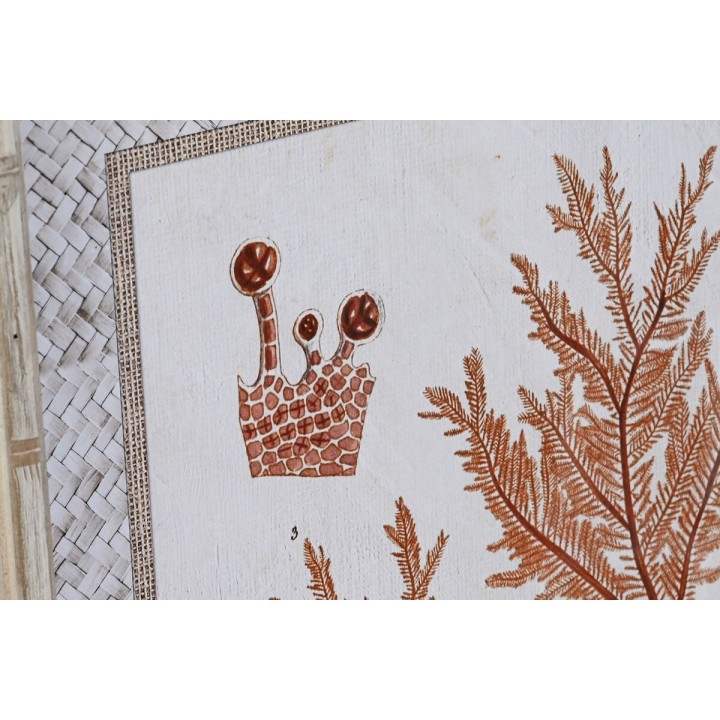 image imprimée ou numérique