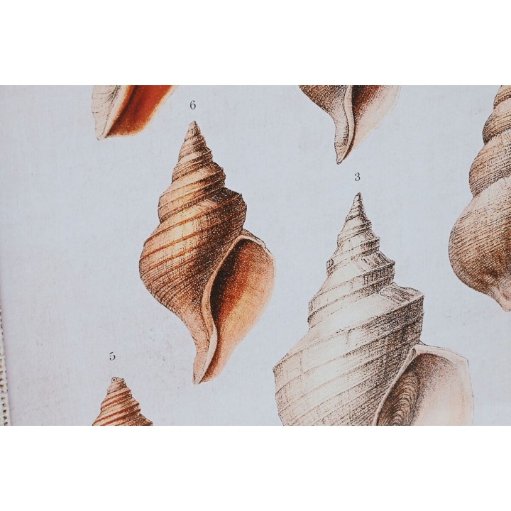 image imprimée ou numérique