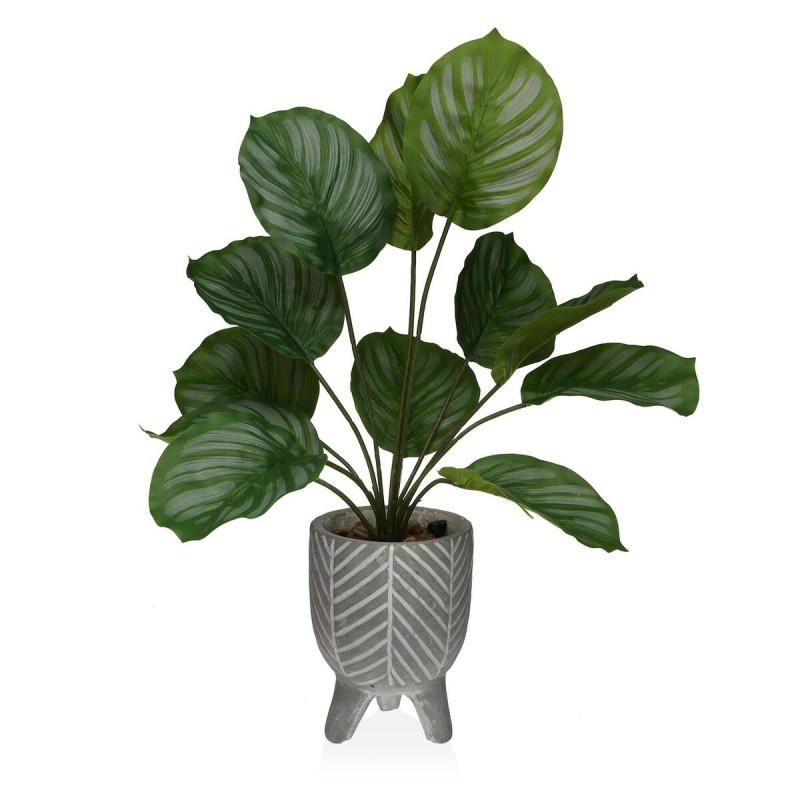 Plante décorative Versa Ciment Plastique 15 x 47 x 15 cm