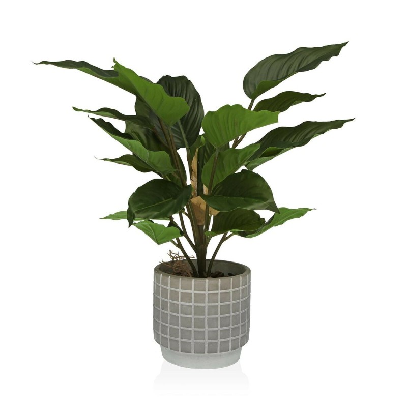 Plante décorative Versa Ciment Plastique 15 x 47 x 15 cm