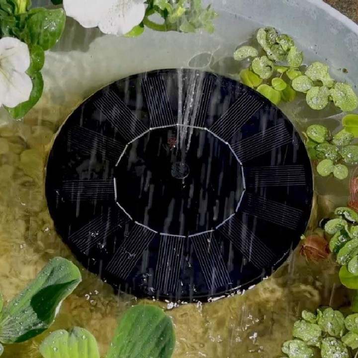 image imprimée ou numérique