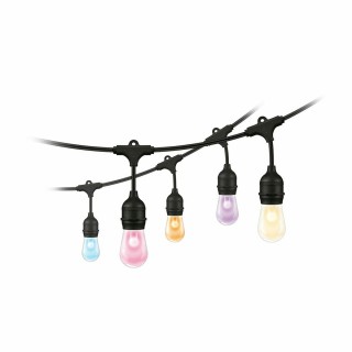 Carte postale microlorge