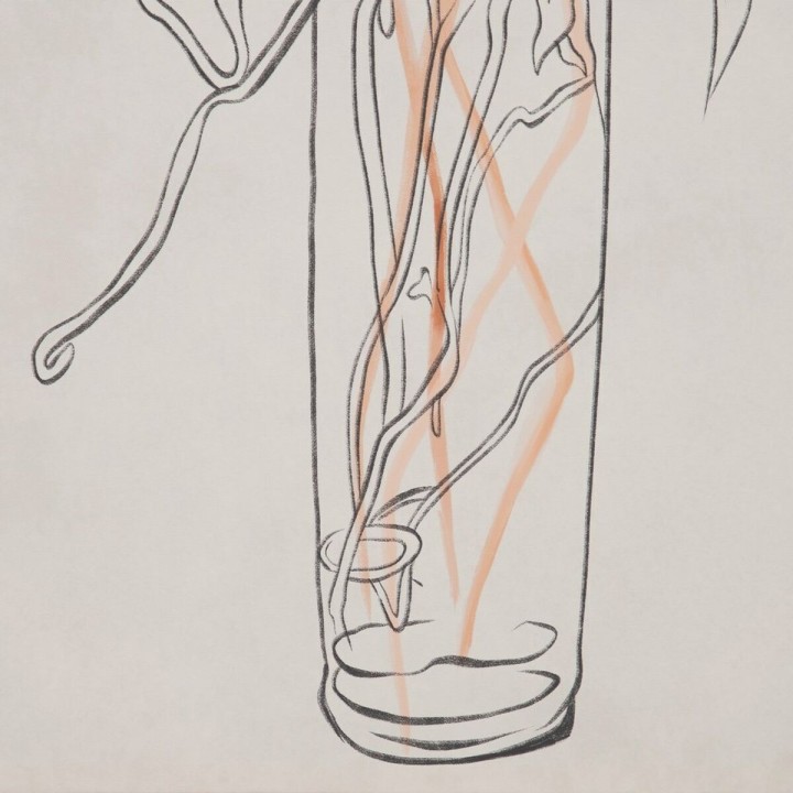 Carte postale microlorge