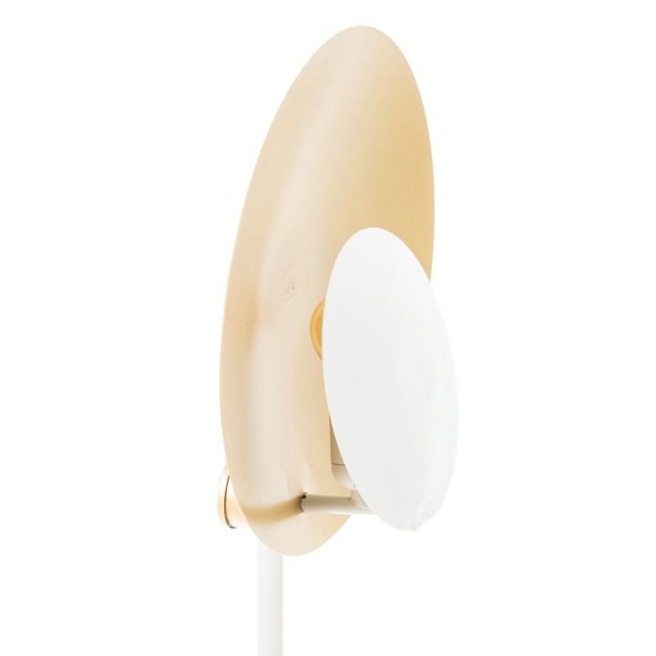 Carte postale microlorge