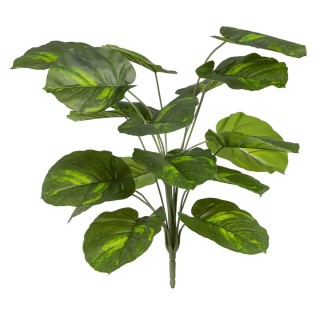 Carte postale microlorge