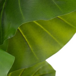 Plante décorative 75 x 60 x 155 cm Vert Philodendron