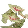 Plante décorative Rouge Vert PVC 40 x 35 x 55 cm