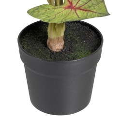 Plante décorative Rouge Vert PVC 40 x 35 x 55 cm