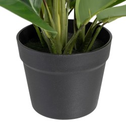 Plante décorative 50 x 45 x 48 cm Vert PVC