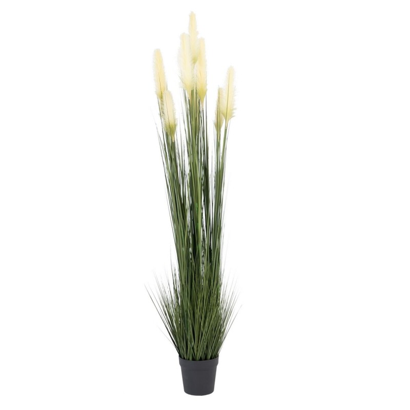 Plante décorative 44 x 48 x 200 cm Vert Crème PVC