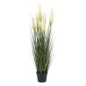 Plante décorative 45 x 37 x 100 cm Vert Crème PVC