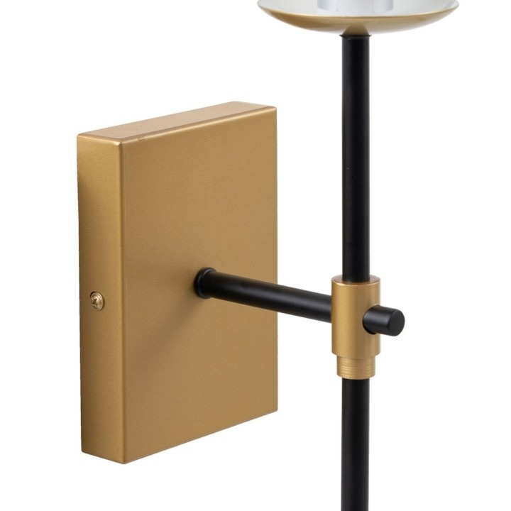 Carte postale microlorge