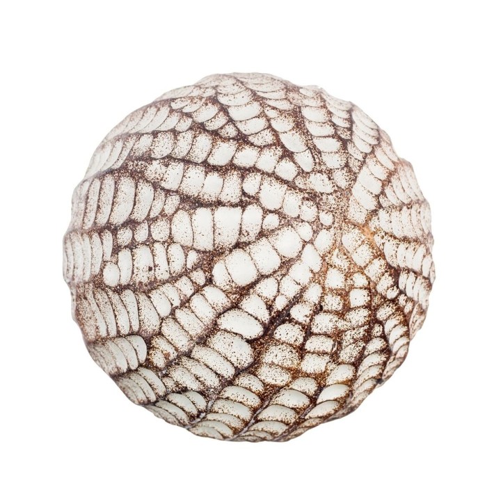 image imprimée ou numérique