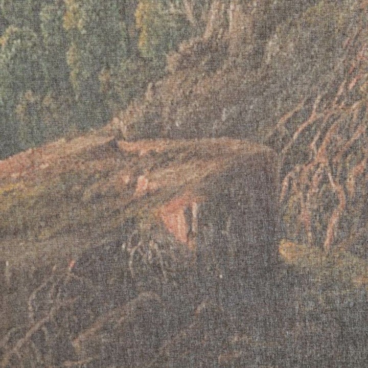 image imprimée ou numérique