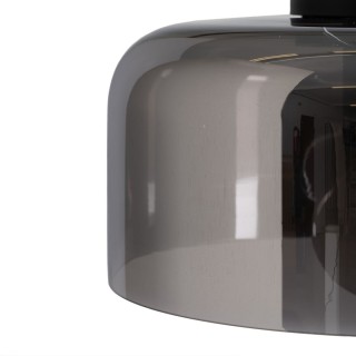 Carte postale microlorge