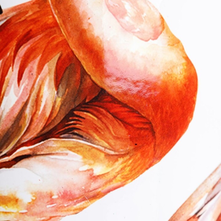 Carte postale microlorge