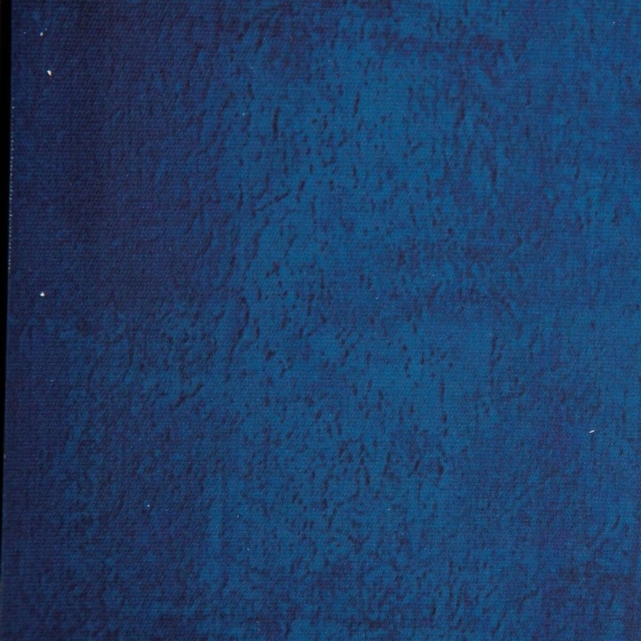 Carte postale microlorge